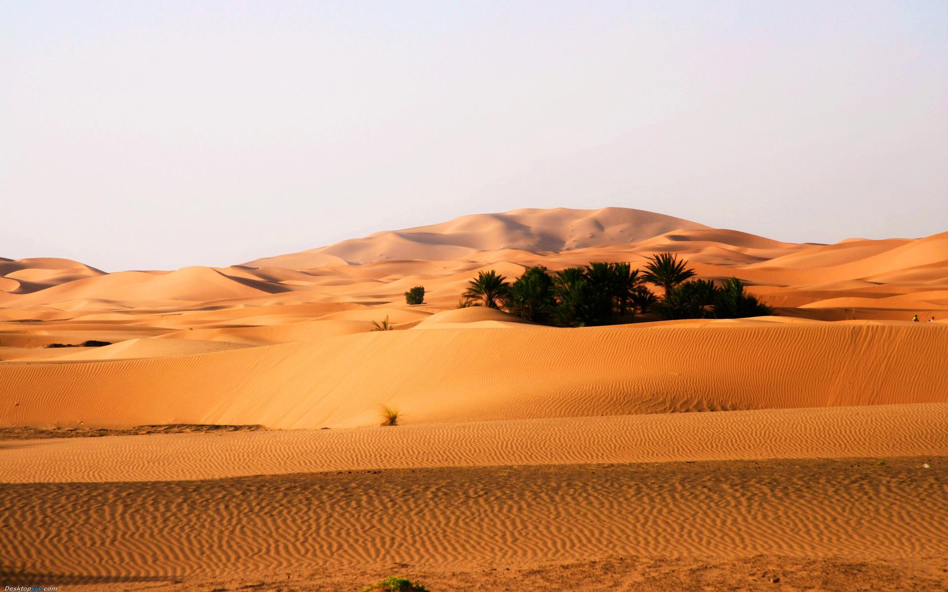 荒漠生态系统——荒漠化是对人类的严峻挑战